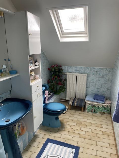 Avant : WC bleu, radiateur et carrelage beige sous la fenêtre de toit